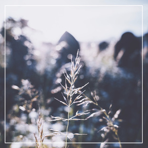 国产XXXX裸体18XXXX
